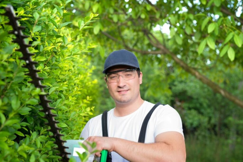 professional arborist